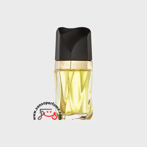 عطر ادکلن استی لودر نویینگ